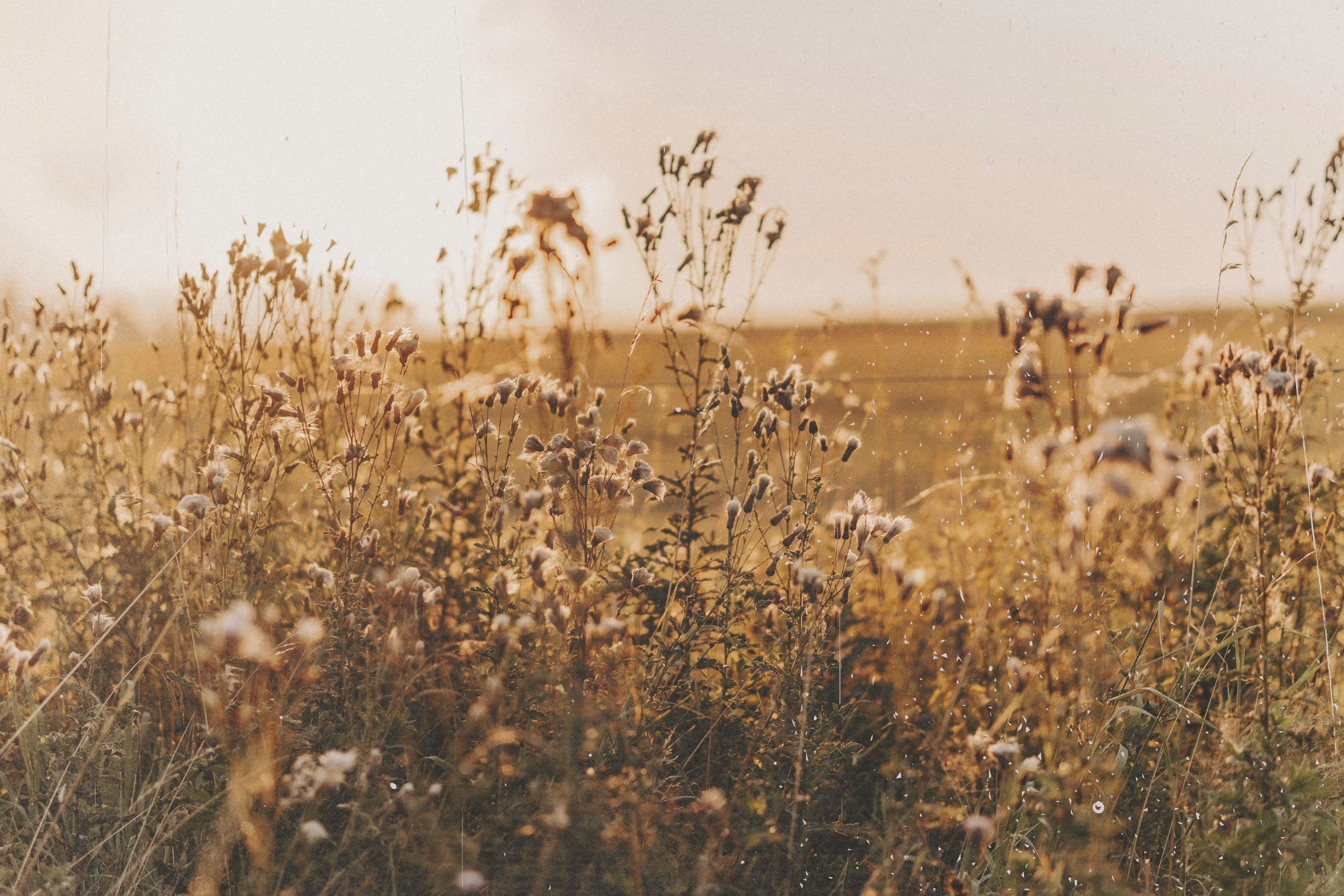 Uvoľňovanie fascií počas cvičenia jogy